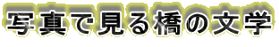 �ʐ^�Ō��鋴�̕��w